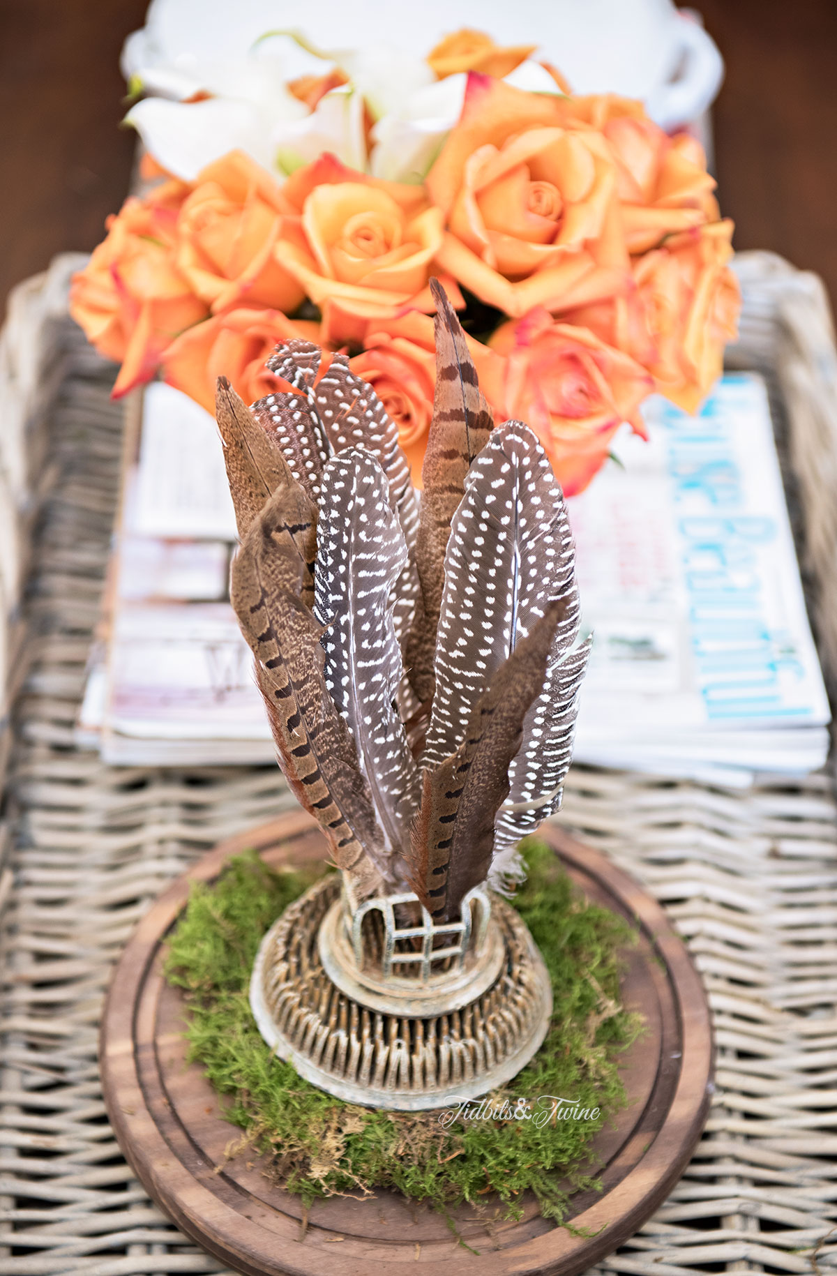 Tidbits&Twine-Spring-2015-Living-Room-Cloche-Feathers-and-Roses