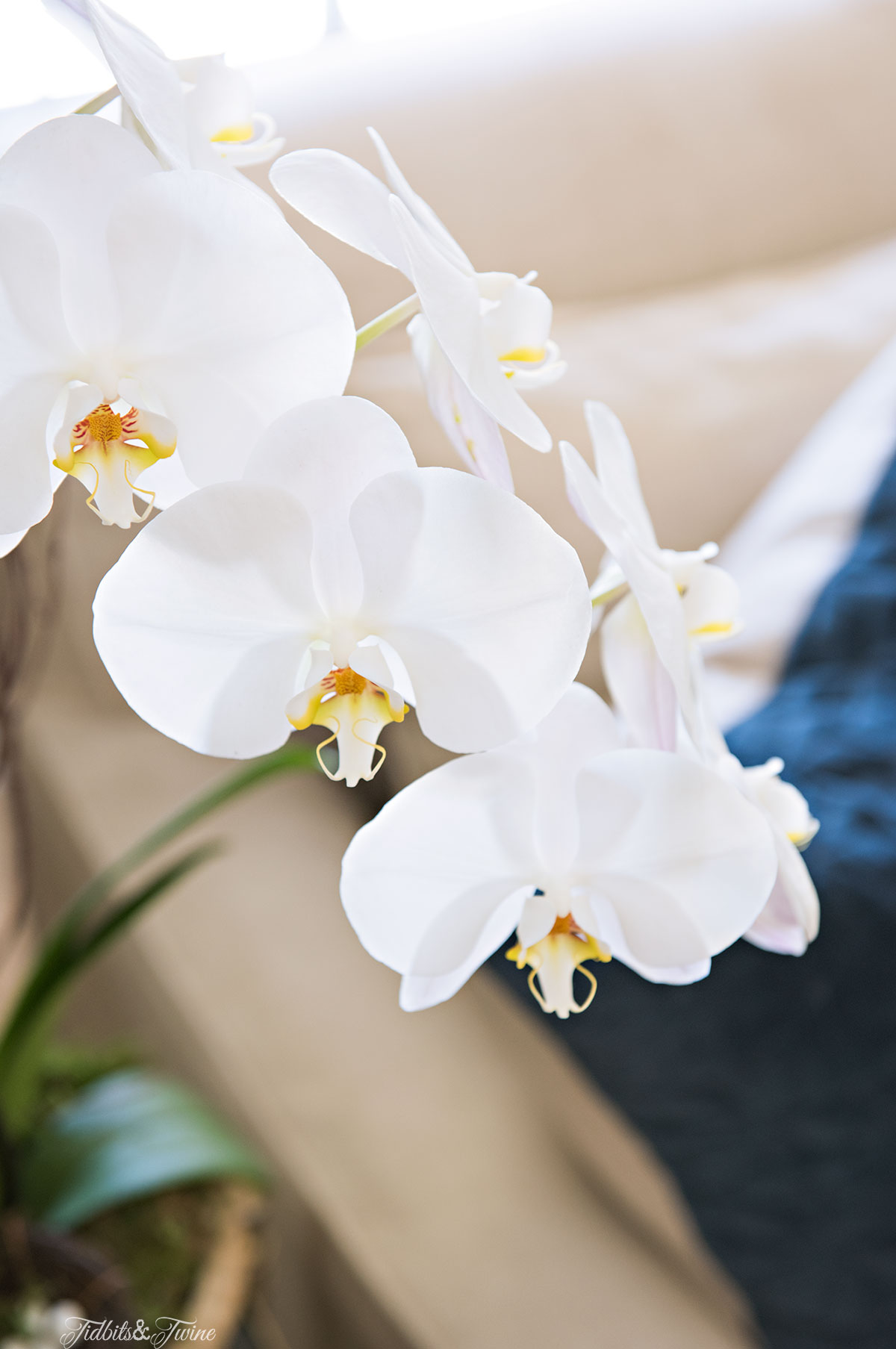 Tidbits&Twine-Spring-Orchid-Living-Room