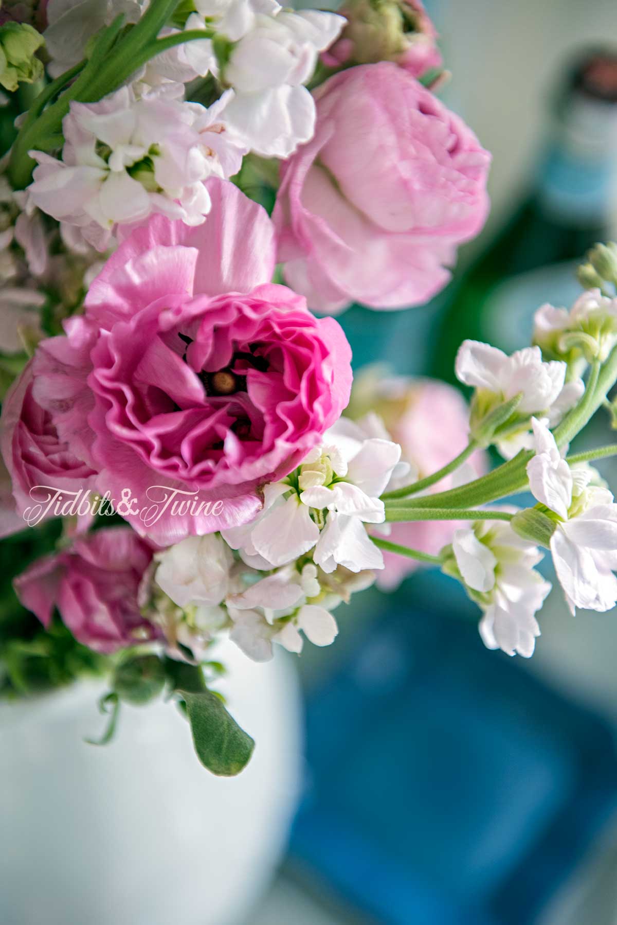 Closeup of pink peonies and white stock in a white ceramic pitcher