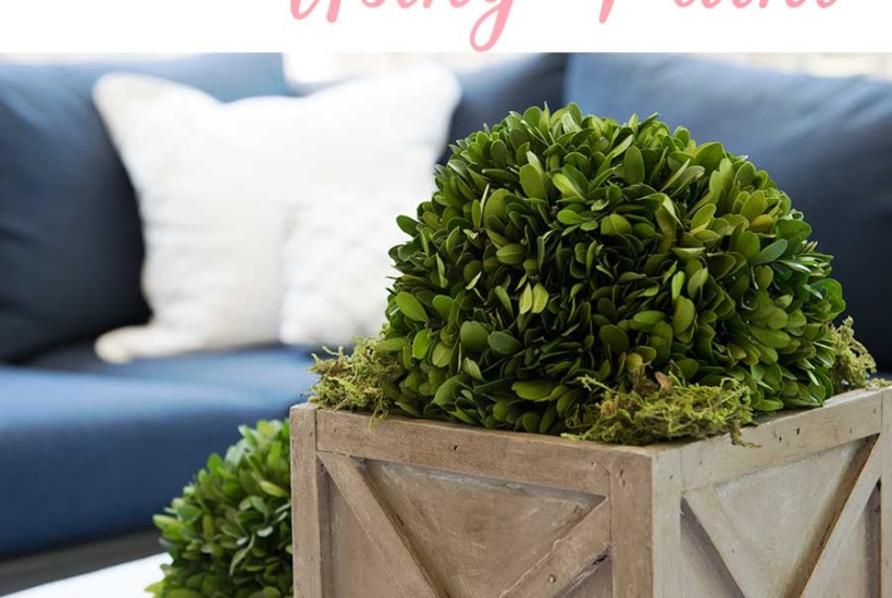 How to create a Restoration Hardware wood finish using chalk paint!