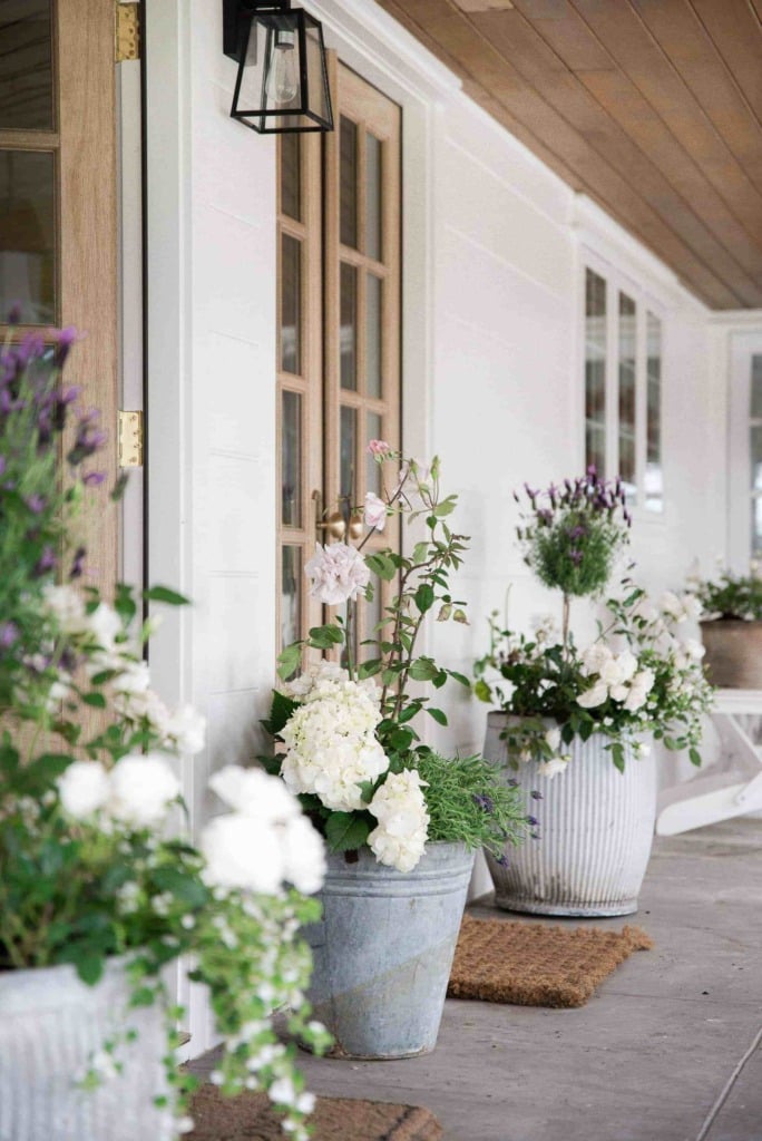 Front porch with rose and lavender flower pots