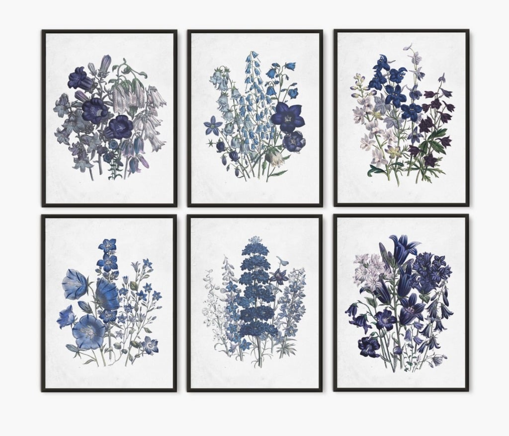 Artwork of six blue flower botanical images