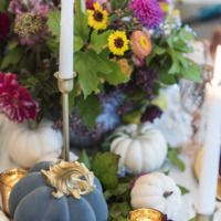 35+ of My Favorite Decorative Pumpkins
