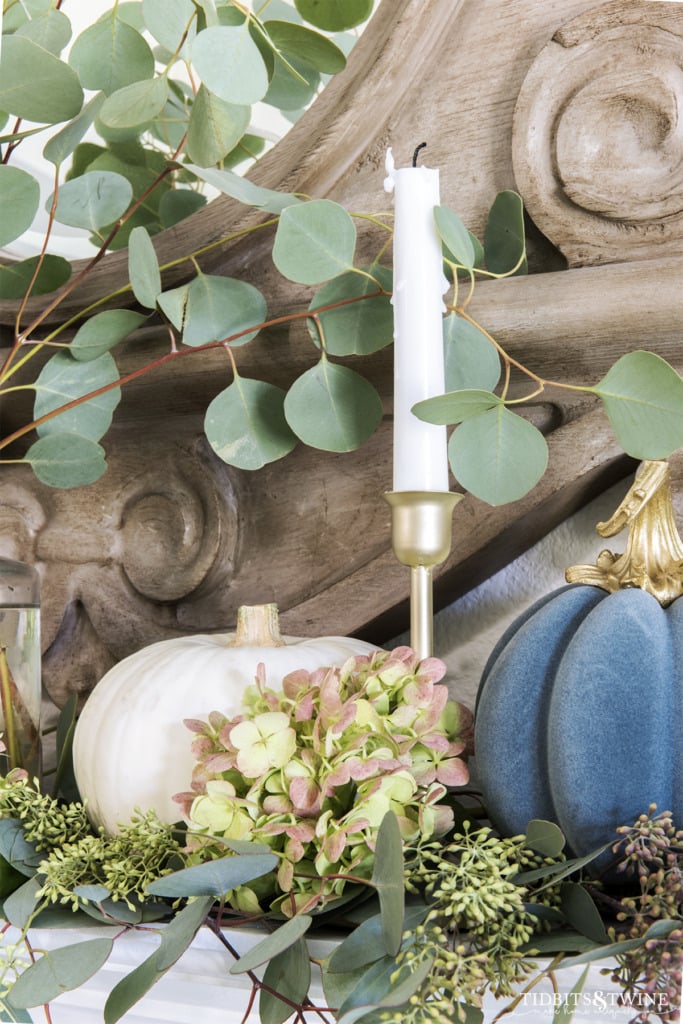 Closeup of green hydrangea head gold candlestick and little pumpkins on Fall decorated mantel