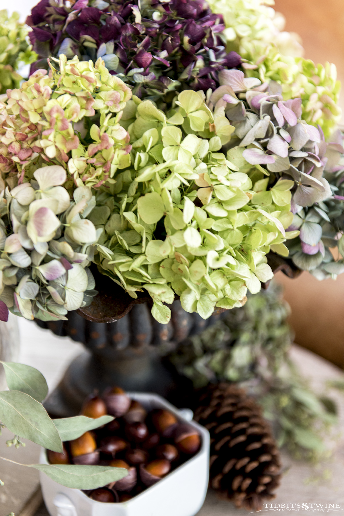 bouquet of dried hydrangea with green pink and purple flowers in an iron urn with acorns below as part of vignette