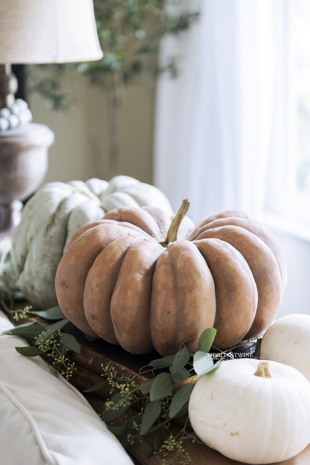 Fall decor of two large pumpkins one orange one green on a console table behind a sofa with eucalyptus