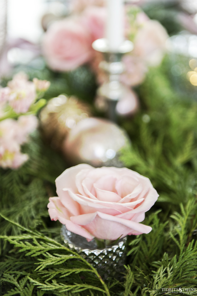 Closeup of pink rose in mercury votive surrounded by cedar garland for Christmas