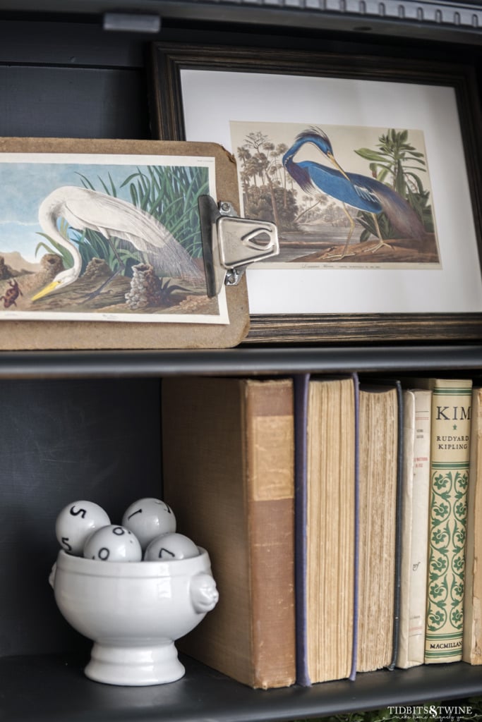 Closeup of birds of america artwork on styled shelves with books