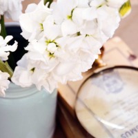 blue ceramic mason jar with white stock flowers next to antique books and magnifying glass