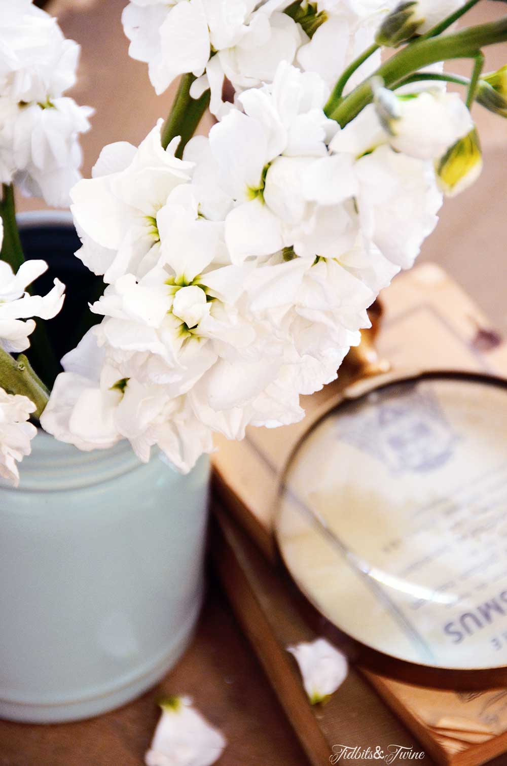 Closeup of white stalk flowers in a blue mason jar next to an antique book and magnifying glass