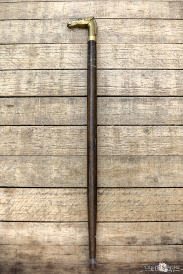 Everything You Want to Know About Gadget Canes and Collecting Them!