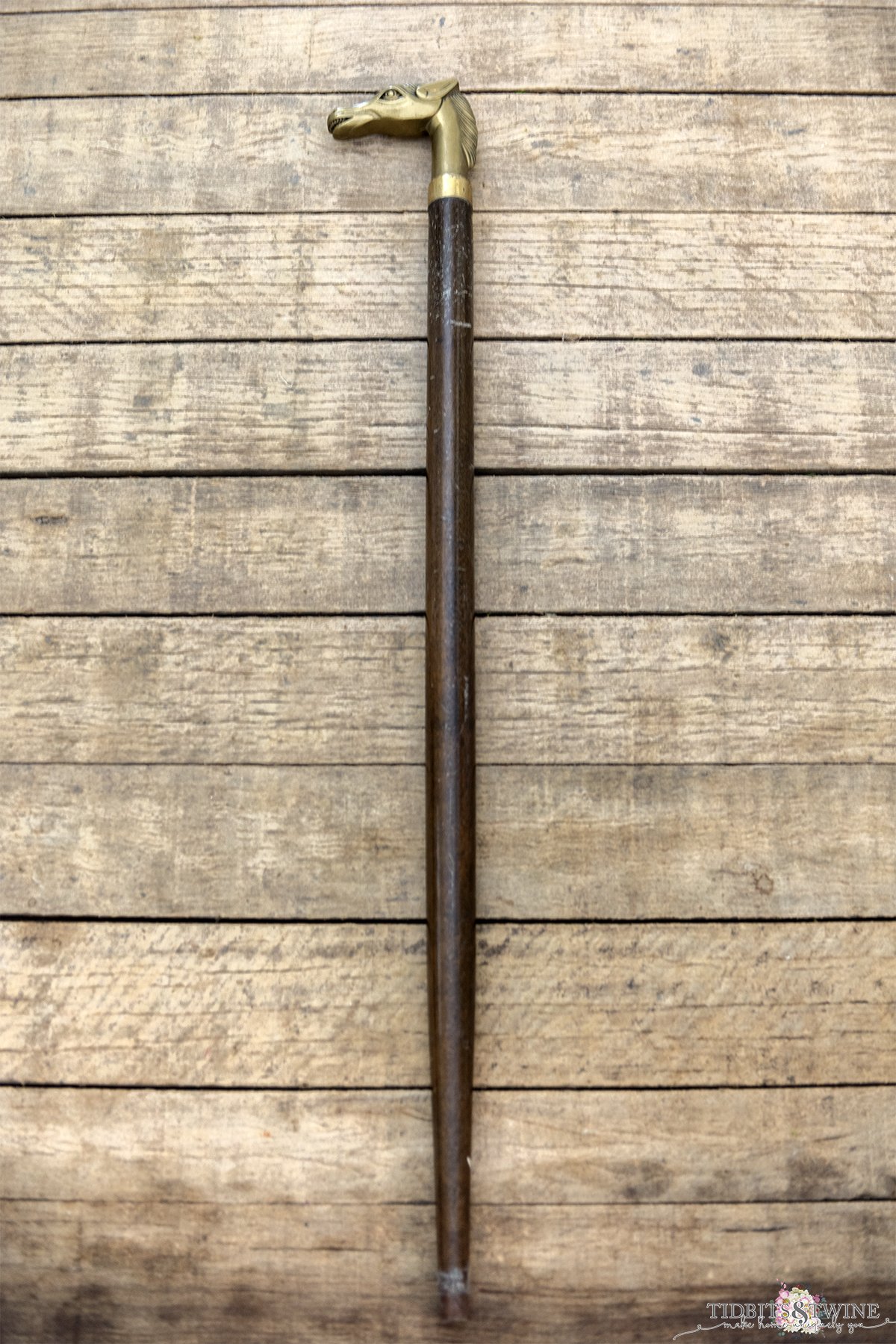 Everything You Want to Know About Gadget Canes and Collecting Them!