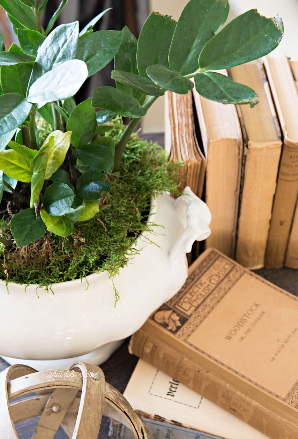 White ironstone soup tureen holding a plant surrounded by antique books