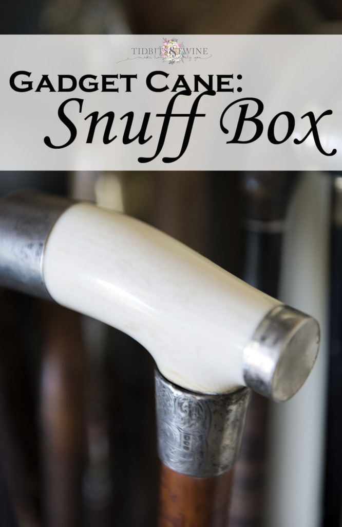 closeup of snuff box gadget cane with white horn handle
