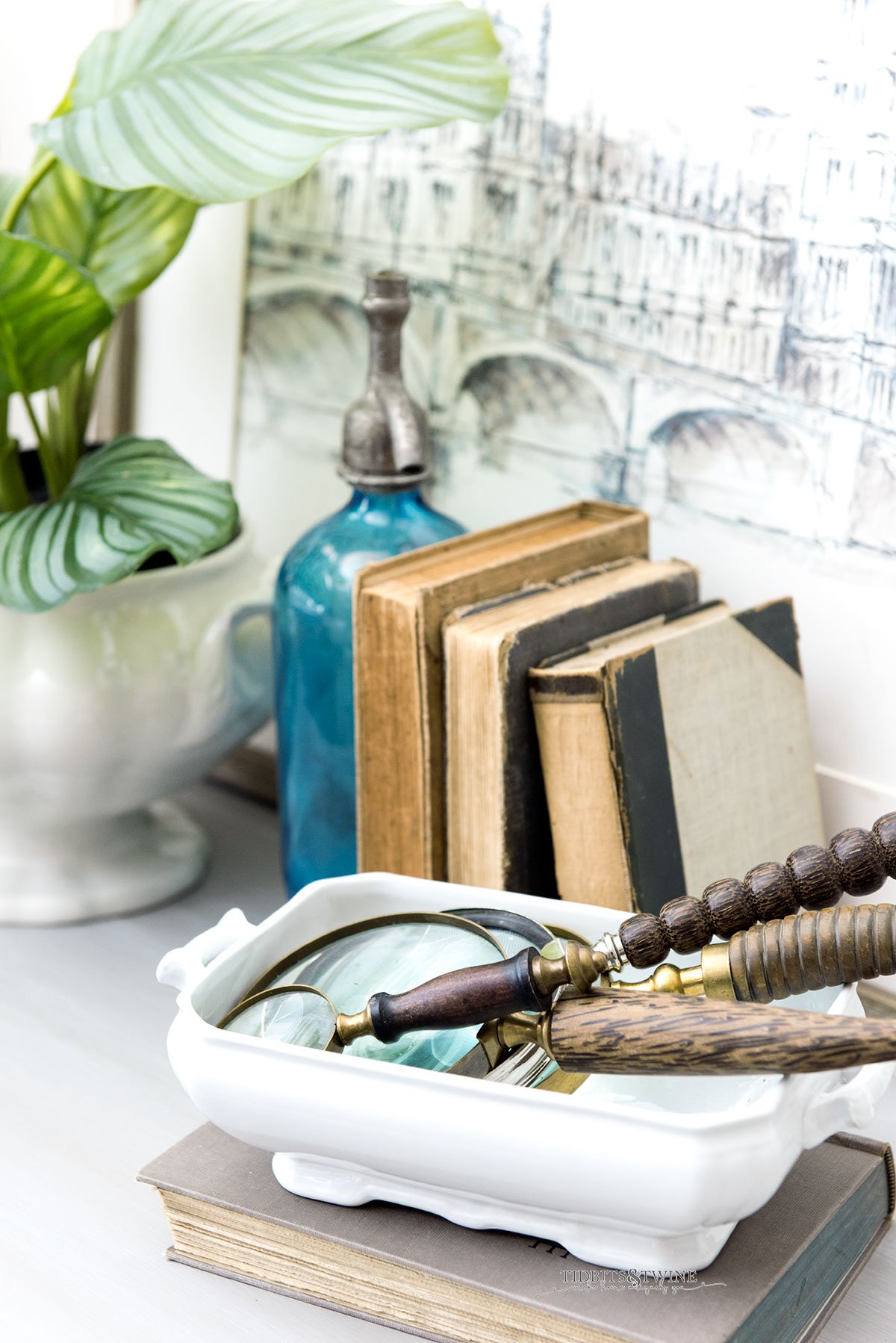 Vignette of antique books next to white pot holding green plant and another white bowl holding antique magnifying glasses