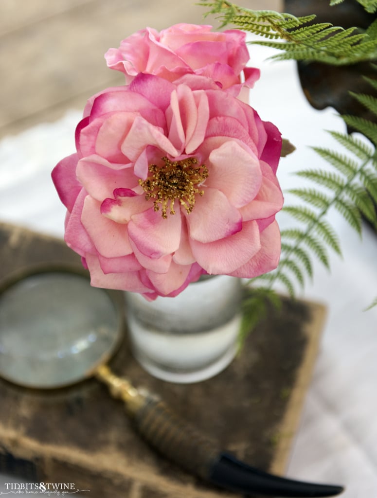 Closeup of a pink fake rose with yellow pollen center with an old book and magnifying glass in the background and a fern leaf