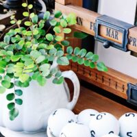 closeup of button fern in ironstone pot next to bowl of white numbered balls and wooden calendar