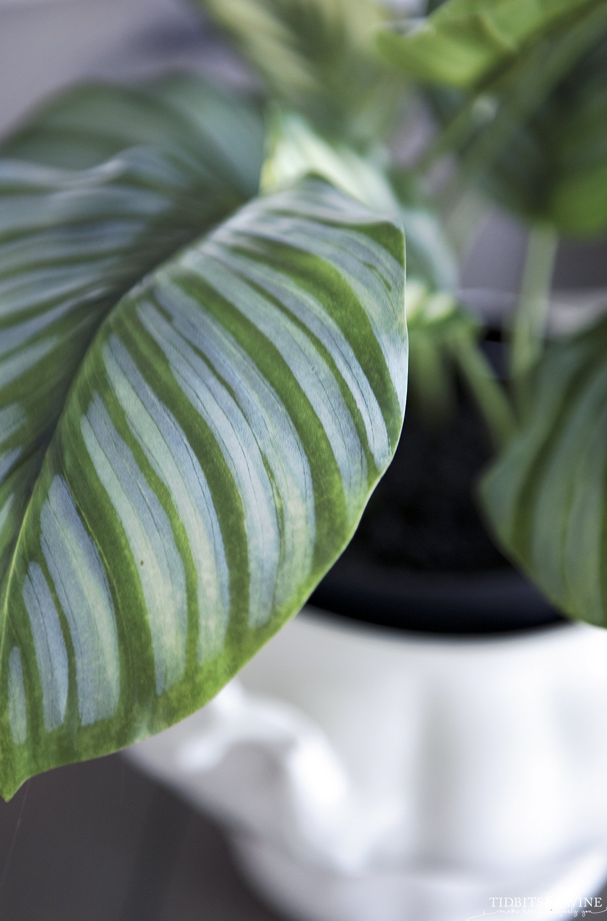 closeup of fake houseplant leaves showing how realistic it looks