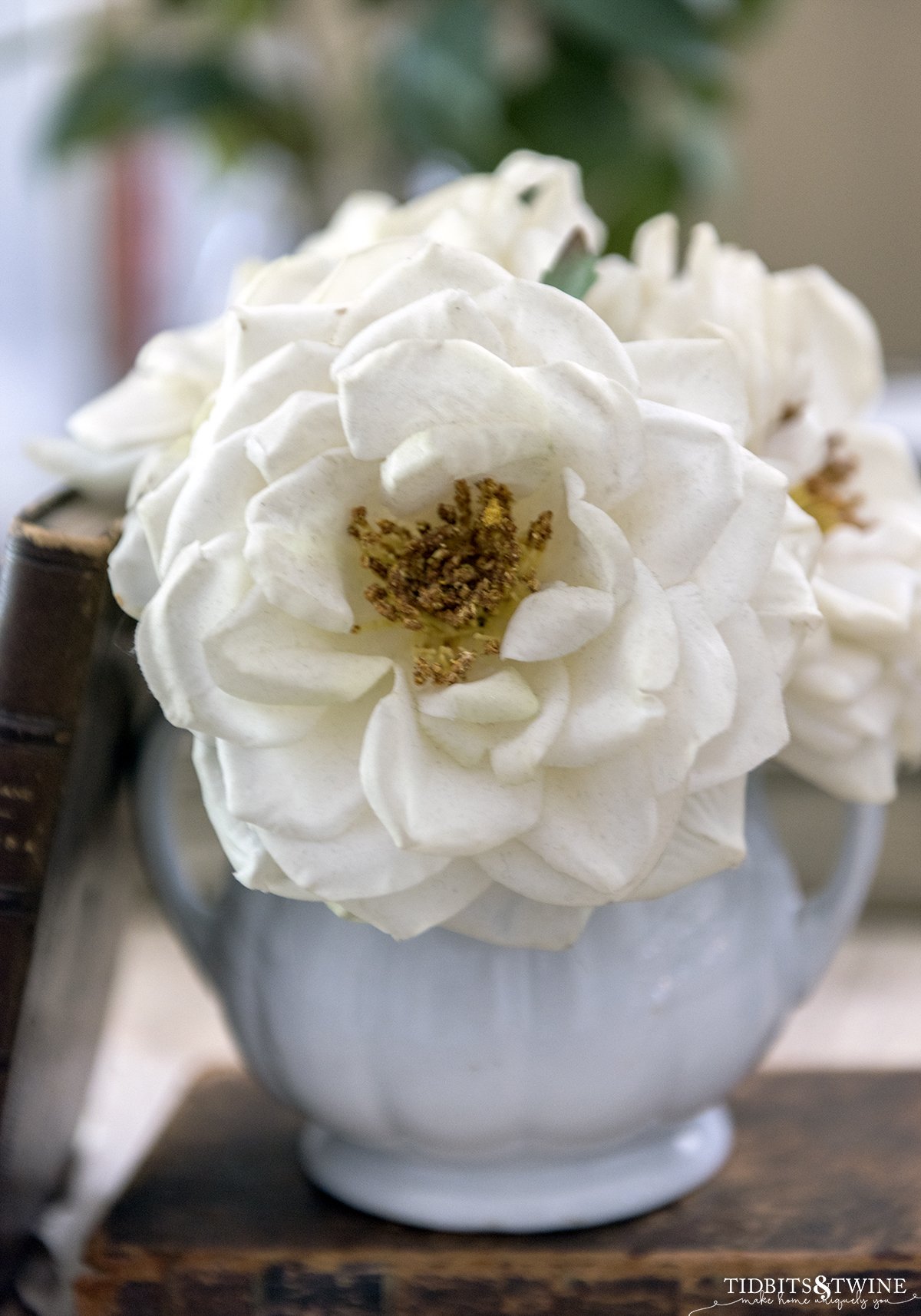 closeup of a fake white rose with a yellow pollen center in a white ironstone sugar pot next to antique leather books