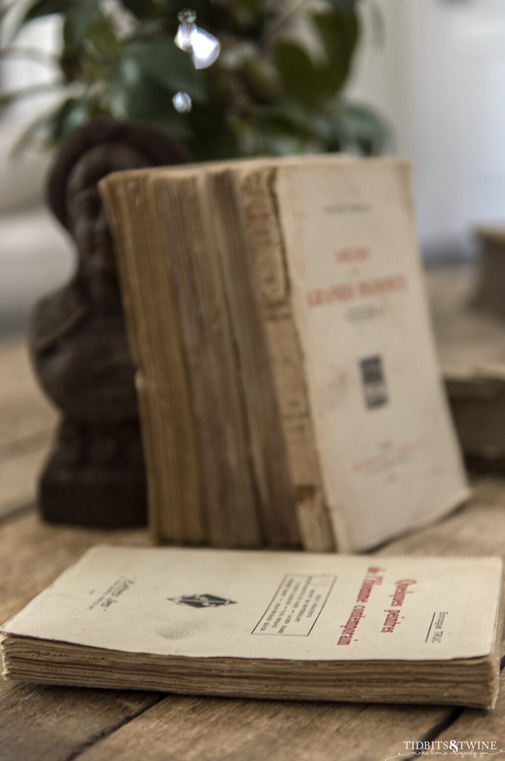 Deckled Edge Books: A Designer’s Trick for Adding Character