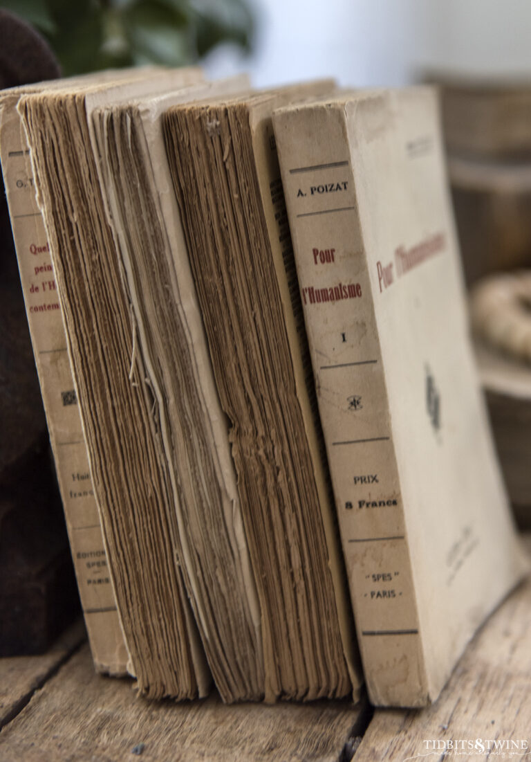 Deckled Edge Books: A Designer’s Trick for Adding Character