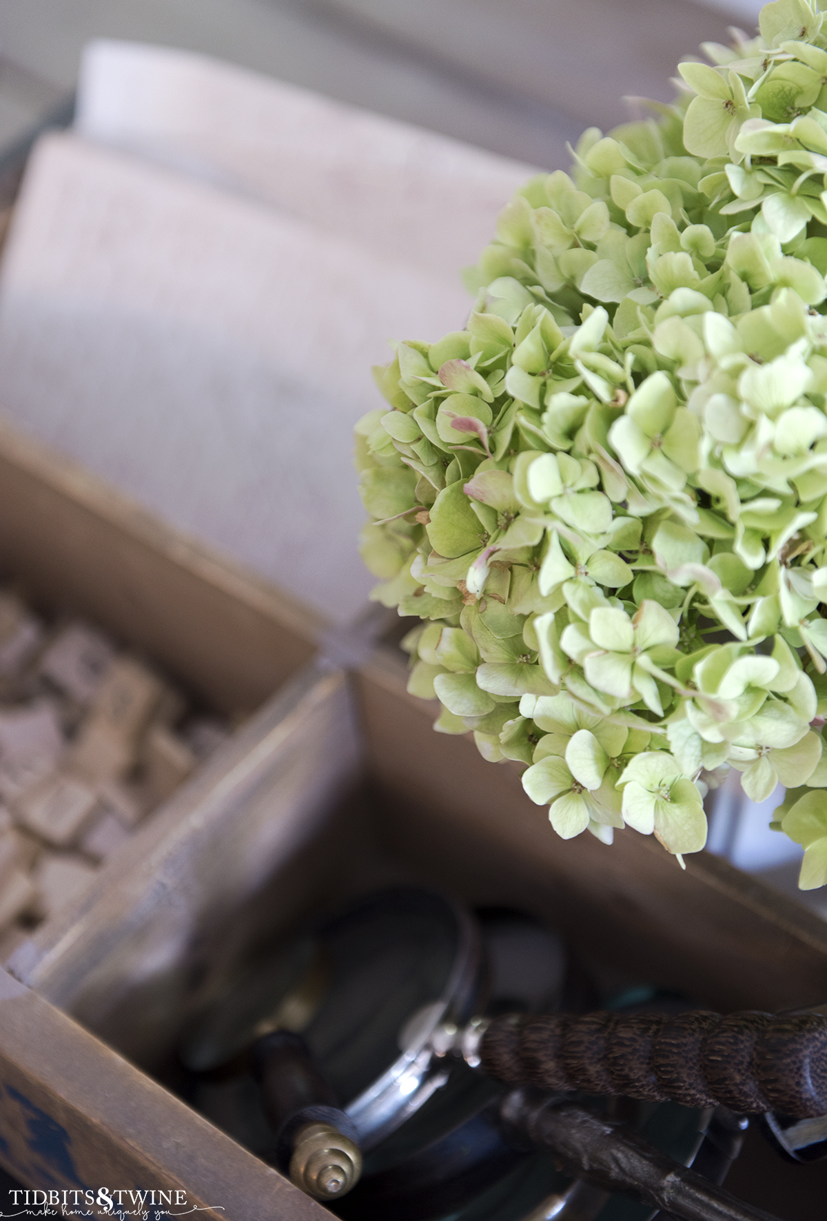 closeup of green hydrangea that is in a white ironstone vase to dry next to a collection of vintage magnifying glasses