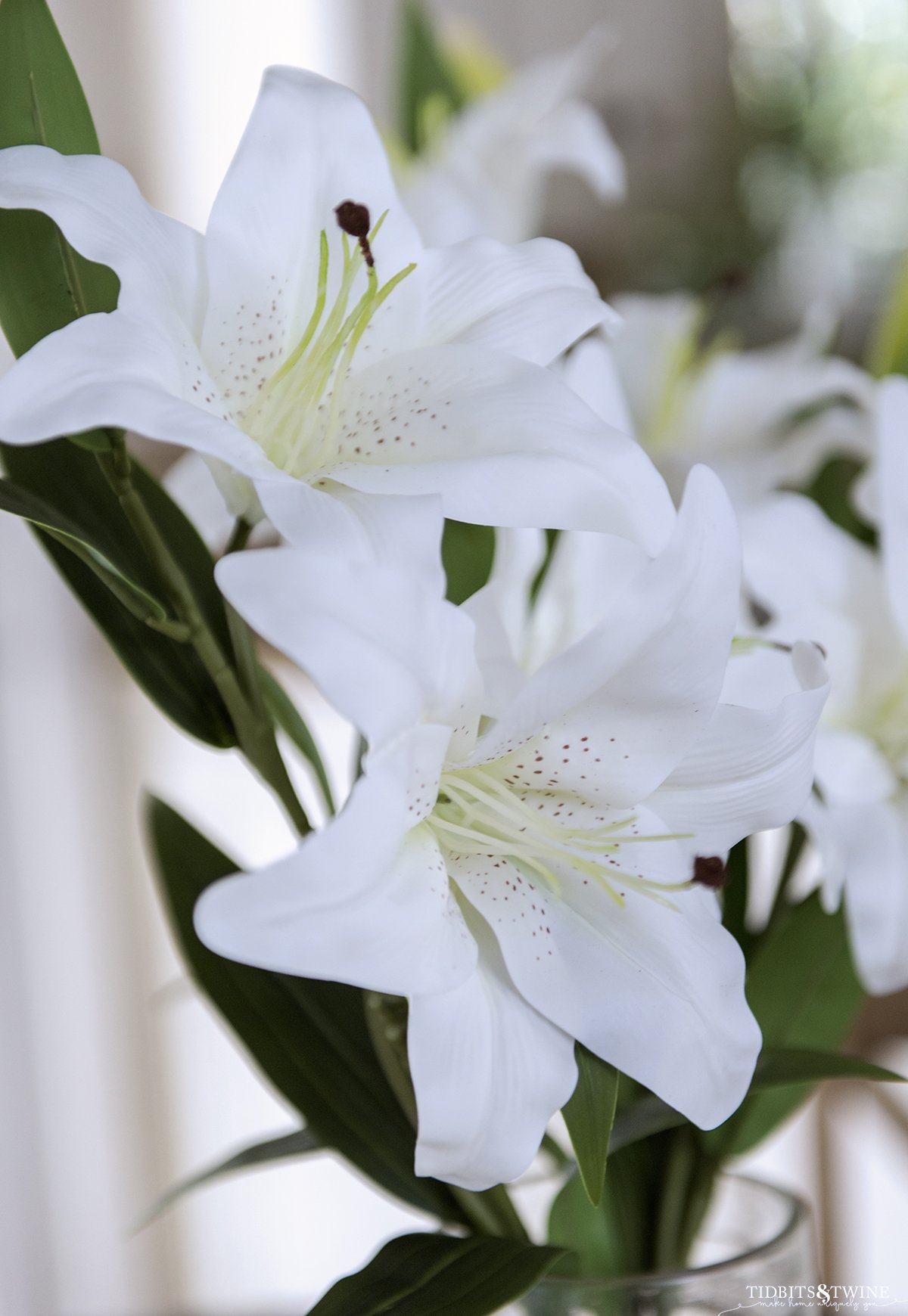 closeup of artificial white lily that looks real showing its petals stamen and pollen and green leaves