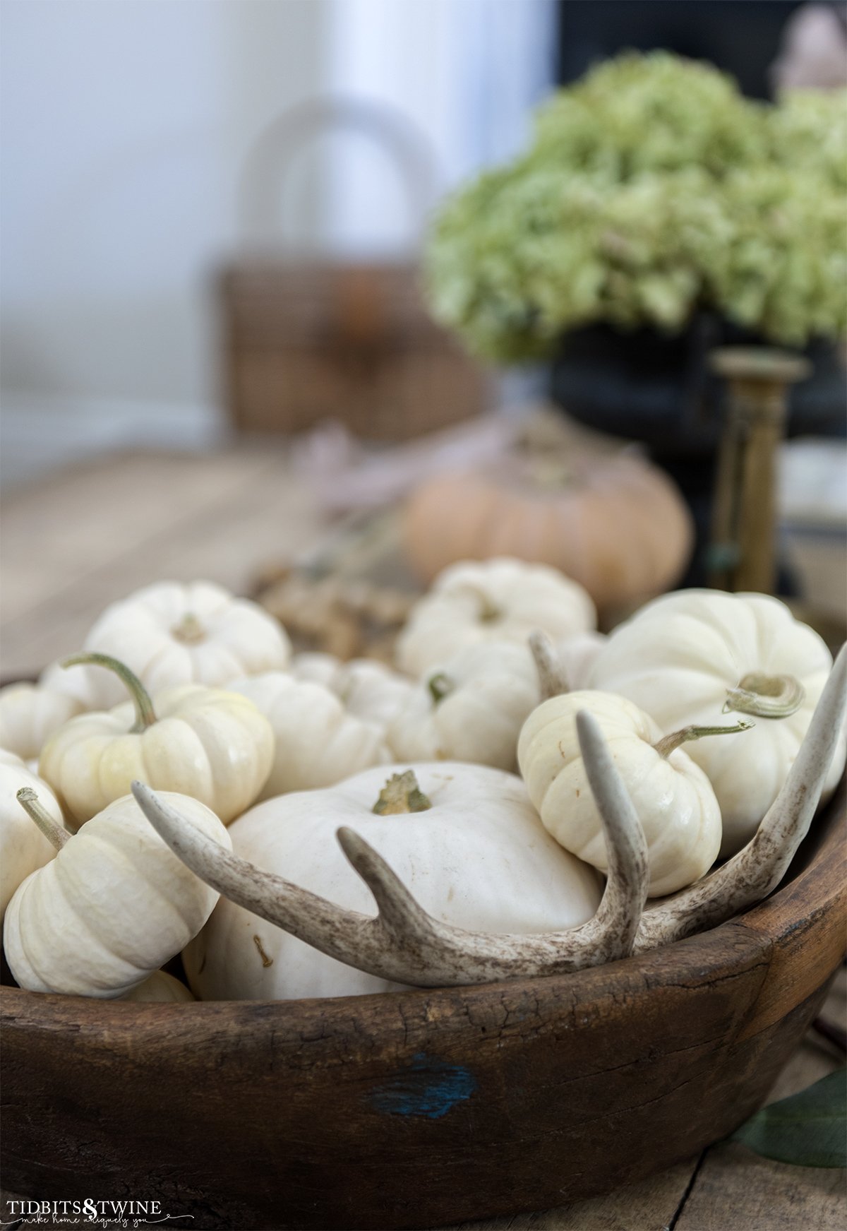 wooden dough bowl full of small white pumpkins and an antler with orange pumpkin and dried hydrangea in background