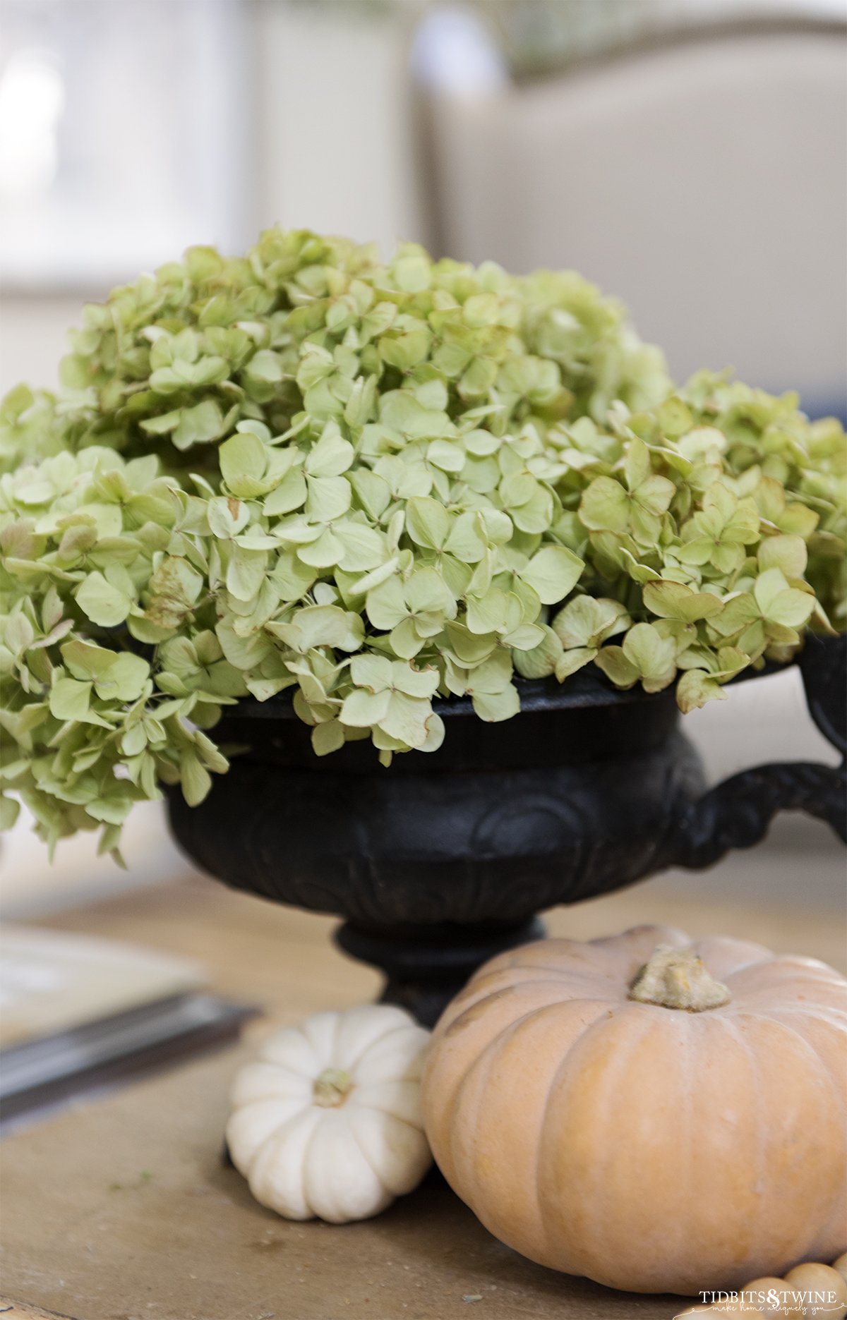 antique black french urn filled with green dried hydrangea and small orange and white pumpkins at base