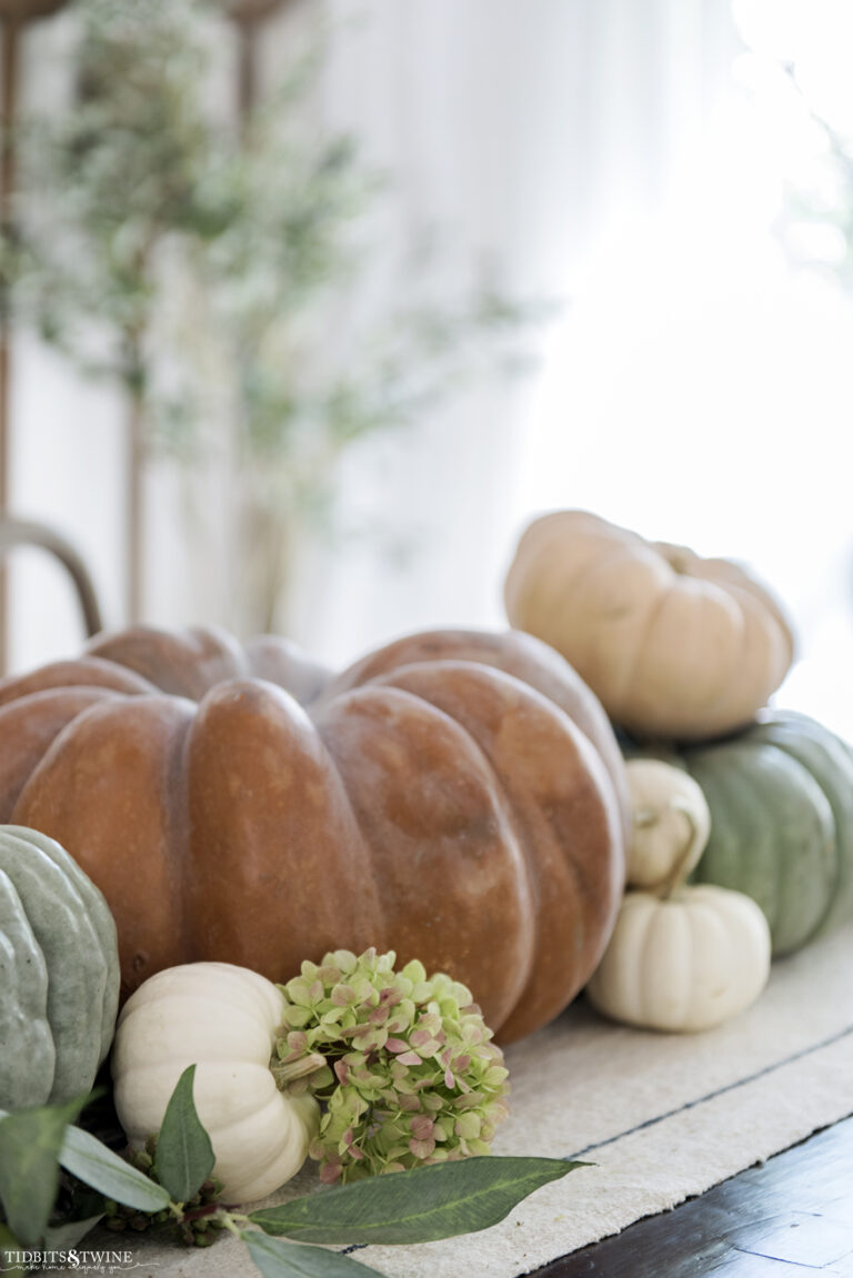 large terracotta fairytale pumpkin on dining table next to green pumpkins with small white pumpkins mixed in