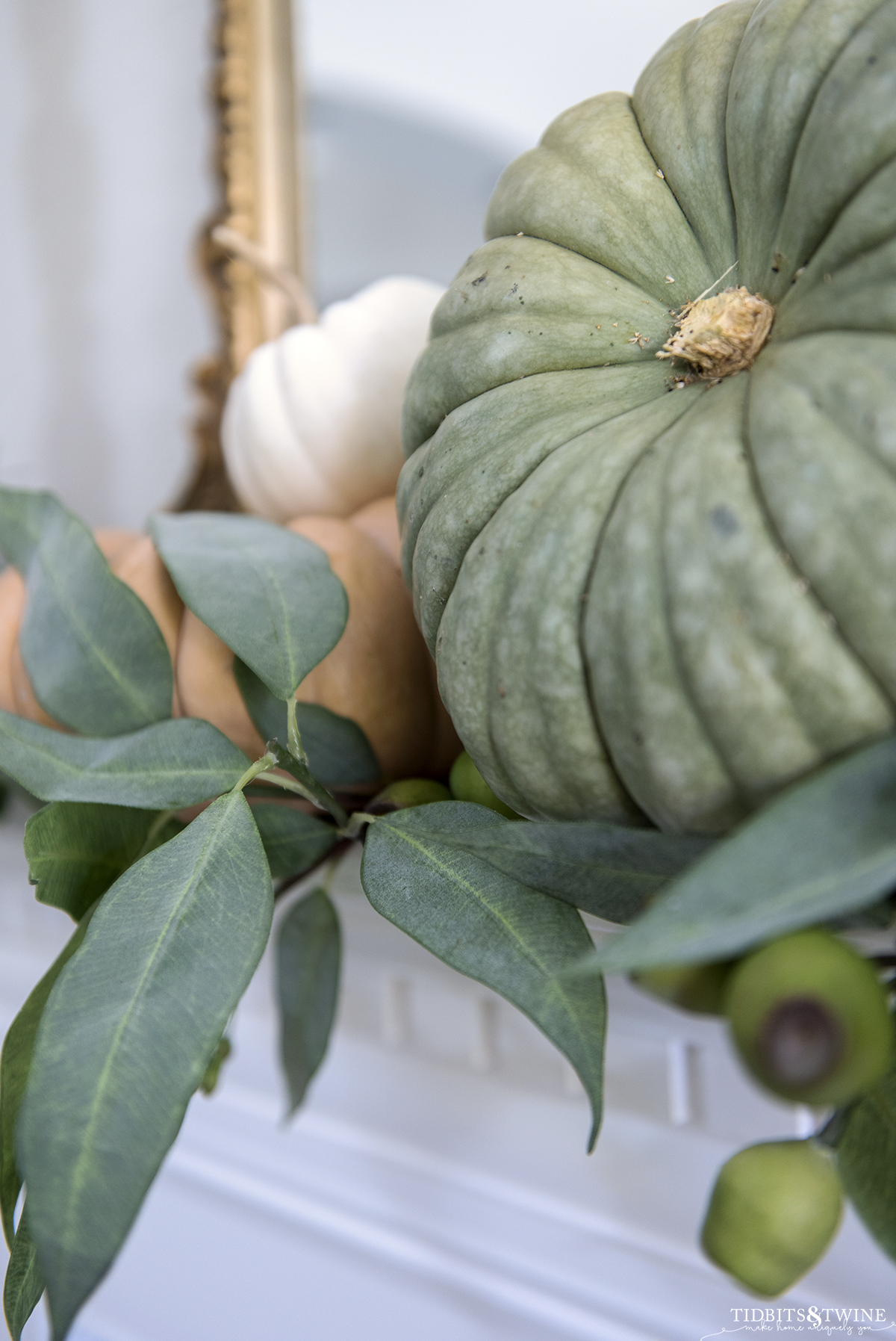 closeup of green pumpkin on a mantel with orange and white pumpkins in background and fake eucalyptus 