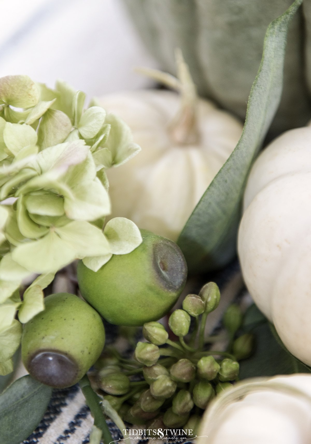 closeup of faux eucalyptus pods next to small white pumpkins with dried hydrangea