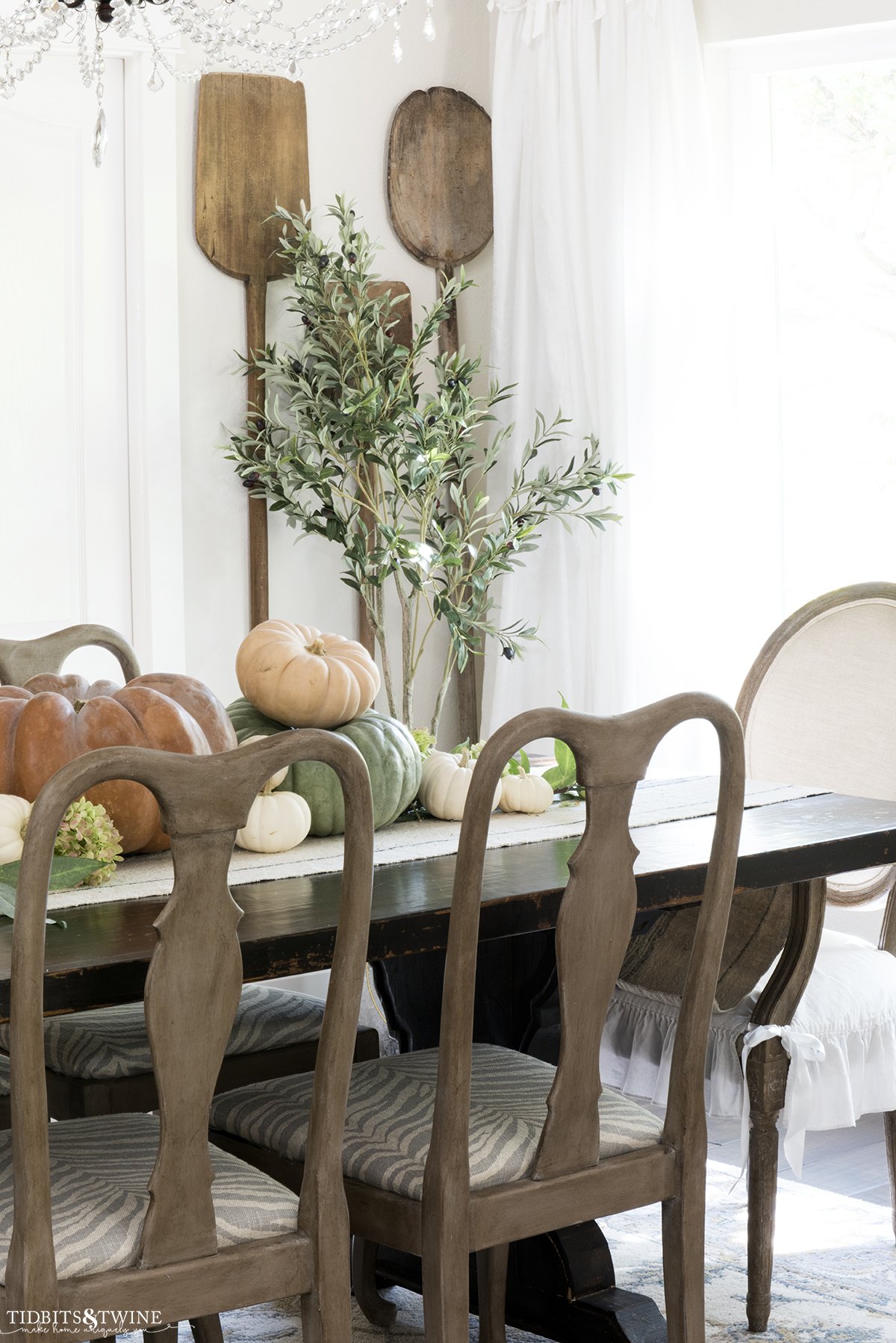 french dining room with brown wood chairs and trestle table with pumpkins running down center of table and olive tree in corner