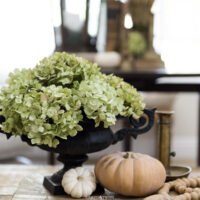 black french urn filled with dried hydrangea with small pumpkins at base on top of old book with table styled for fall in background