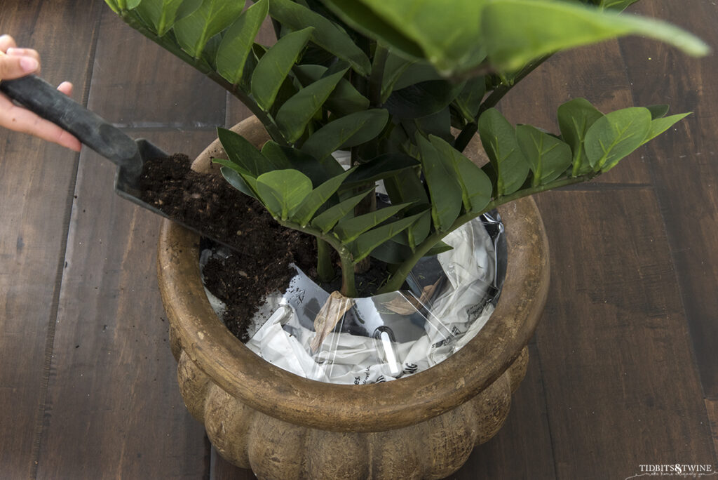 artificial zz plant in brown pot surrounded by stuffed grocery bags with clear tray on top and some dirt