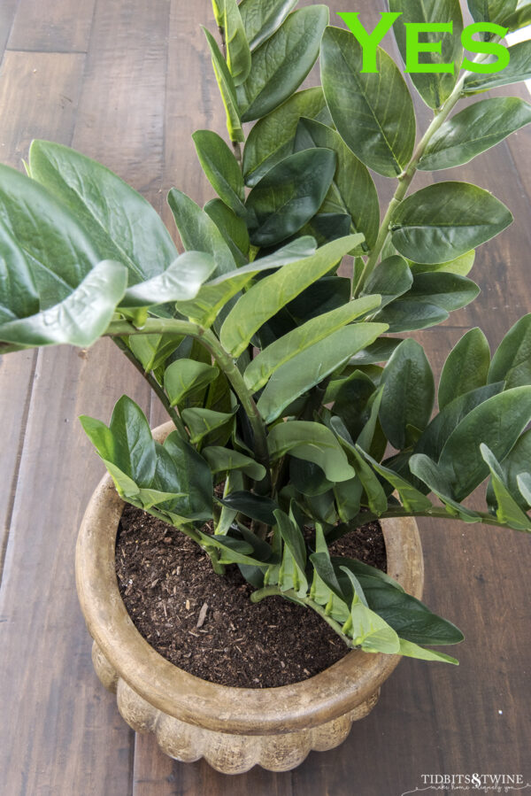 2 Easy Methods to Secure Artificial Plants in Pots So They Look Real!