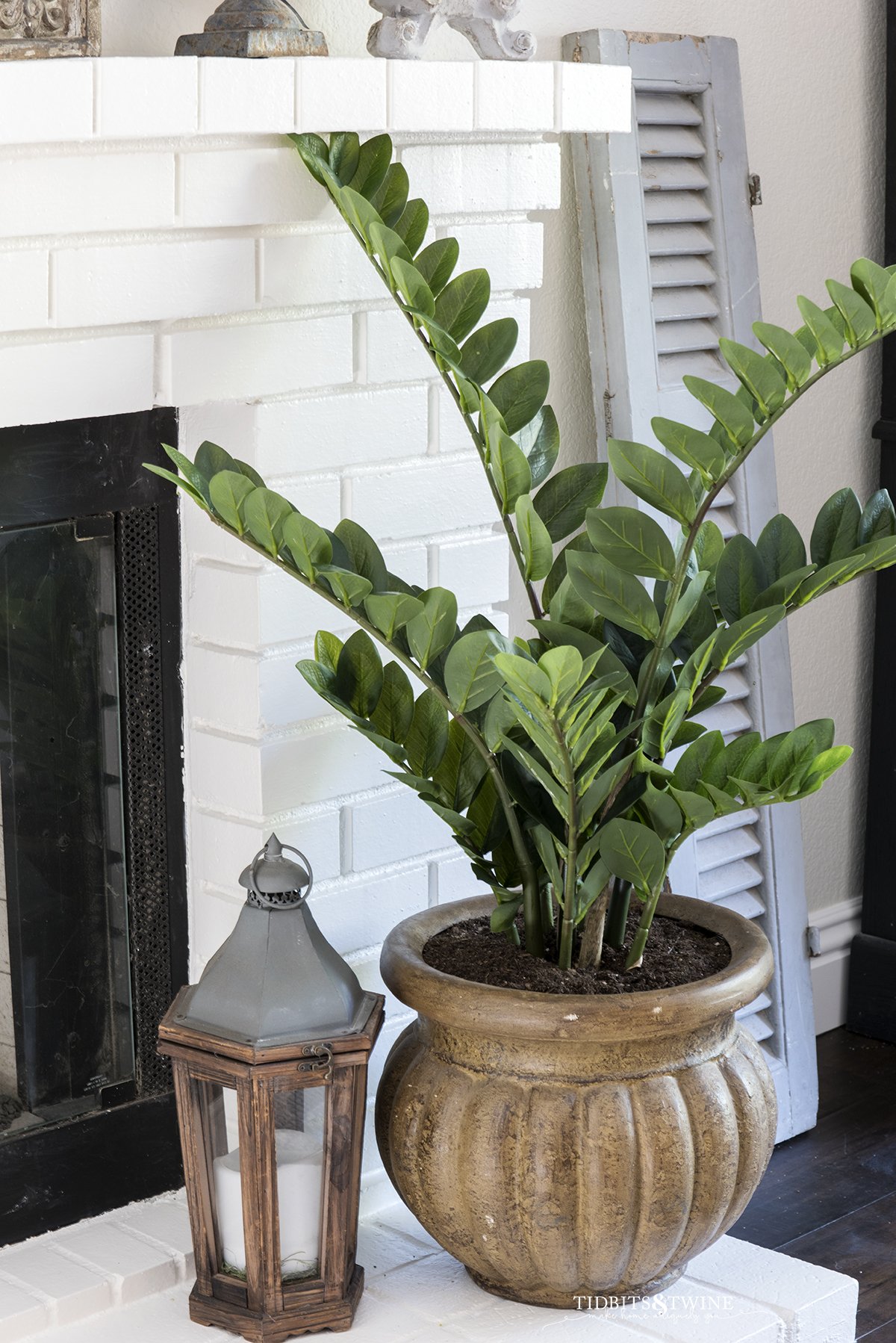 zz plant in a brown pot on white brick fireplace next to small lantern with blue shutter in background