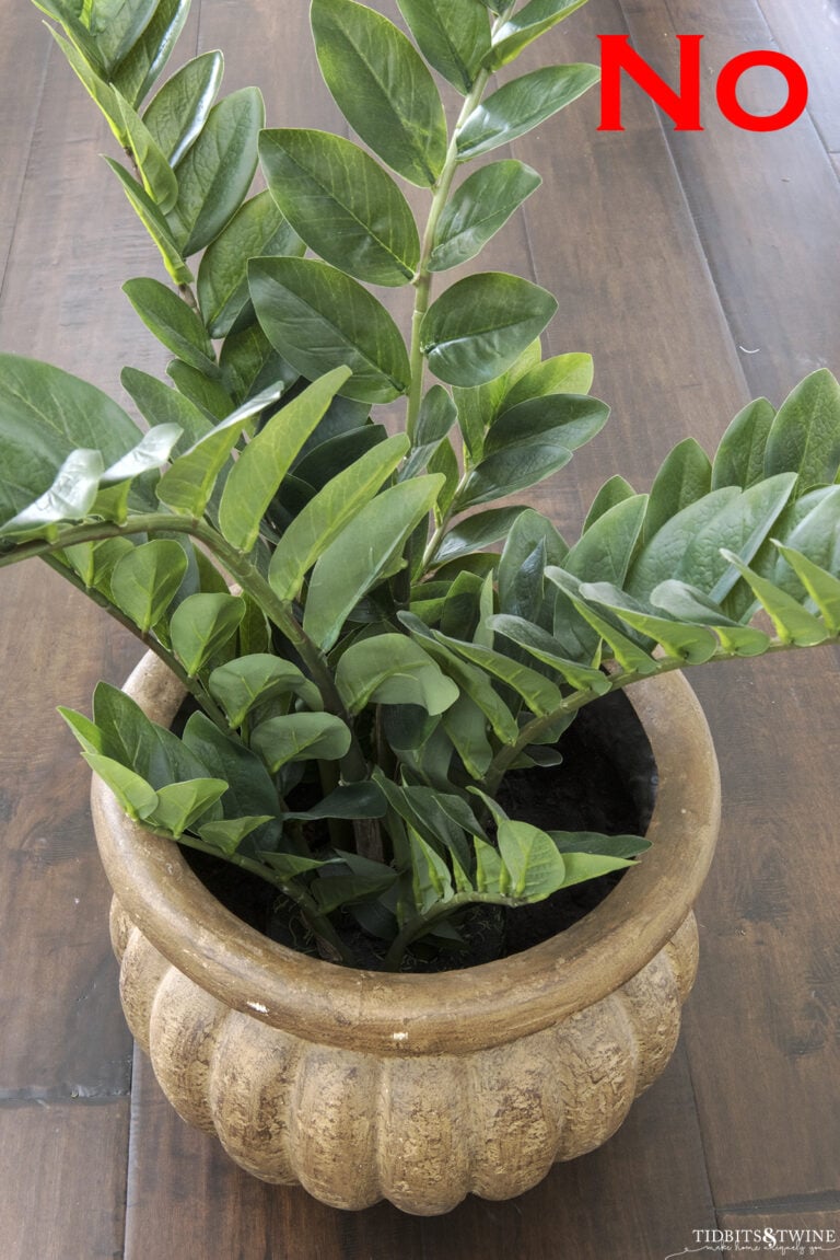 2 Easy Methods to Secure Artificial Plants in Pots So They Look Real!