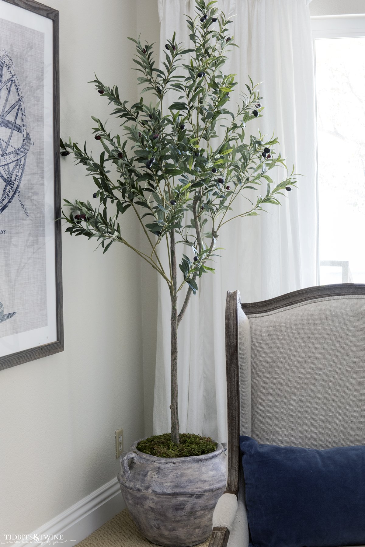 artificial olive tree in the corner of living room in a clay pot with moss on top to make tree look real