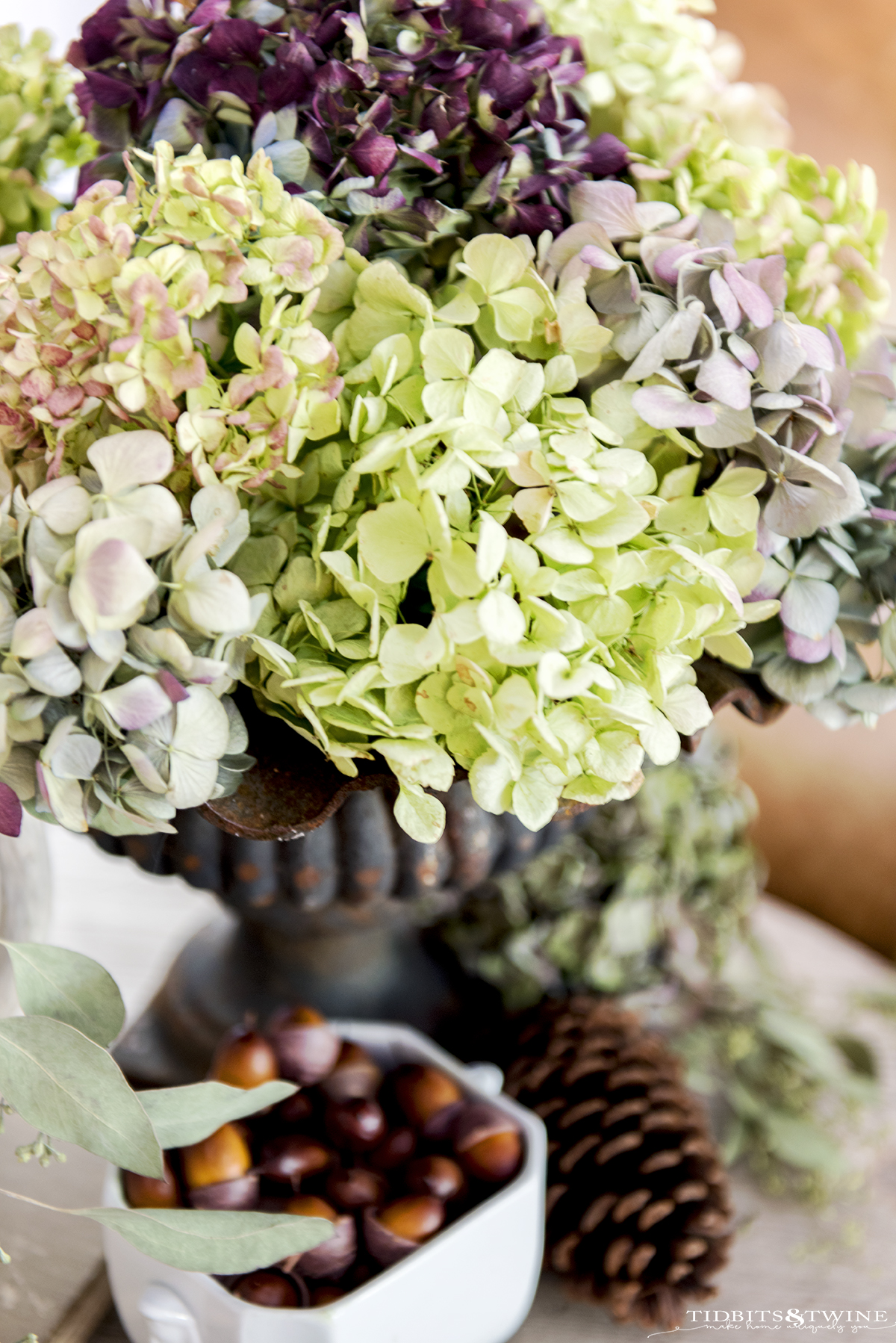 bouquet of dried hydrangea with green pink and purple flowers in an iron urn with acorns below as part of vignette