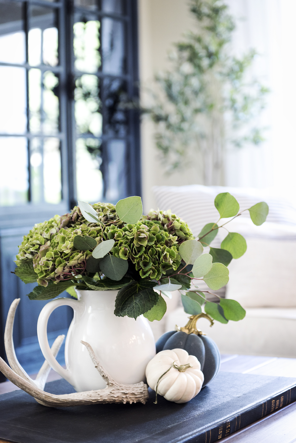 vignette of white pitcher filled with green hydrangea and eucalyptus with antler and small pumpkins at base 