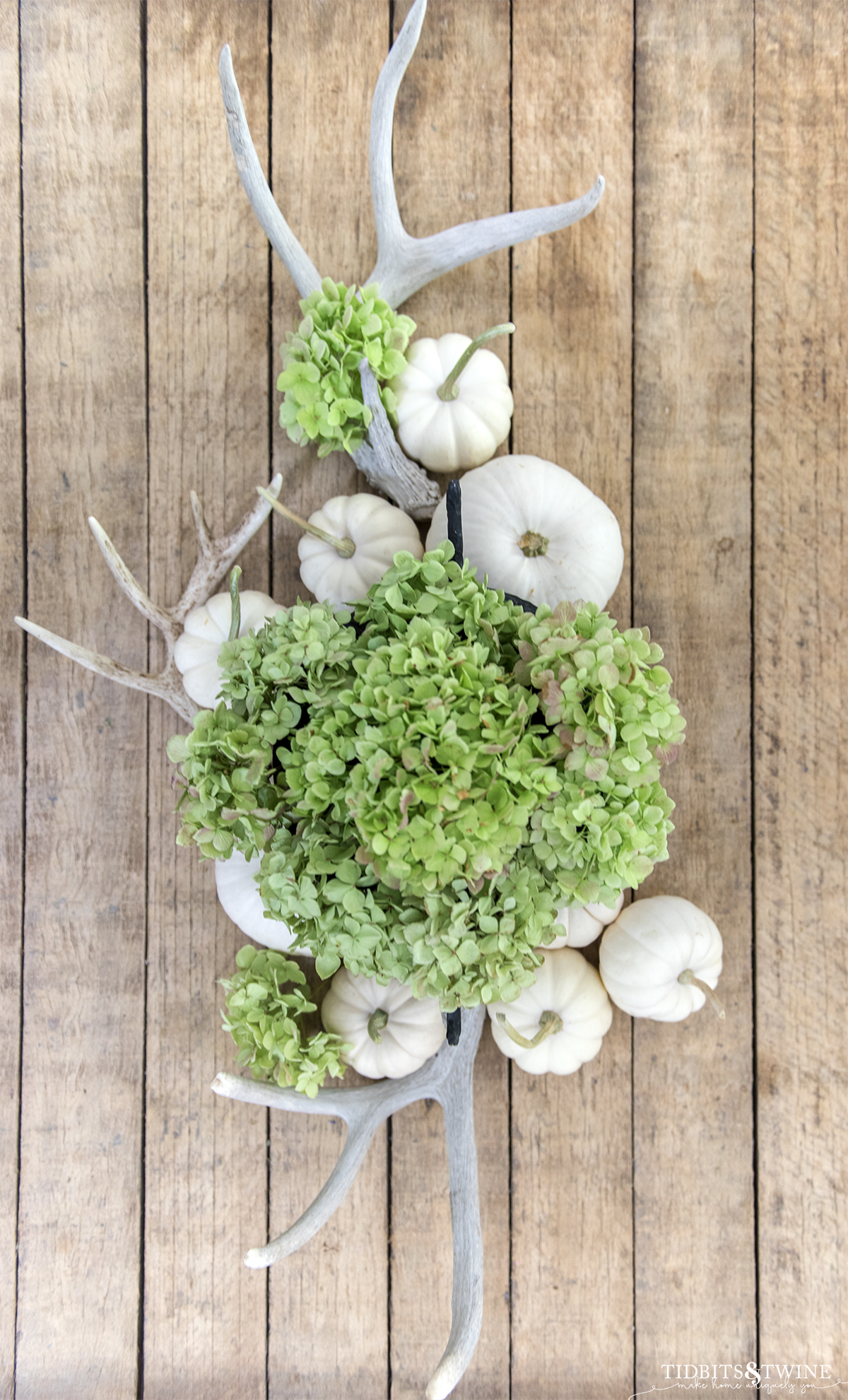 top down view of dried green hydrangeas in an urn with antlers and white pumpkins on top and bottom on industrial table top