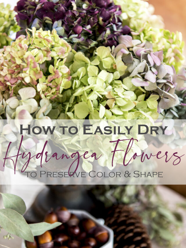 How to Dry Hydrangea the Easy Way!