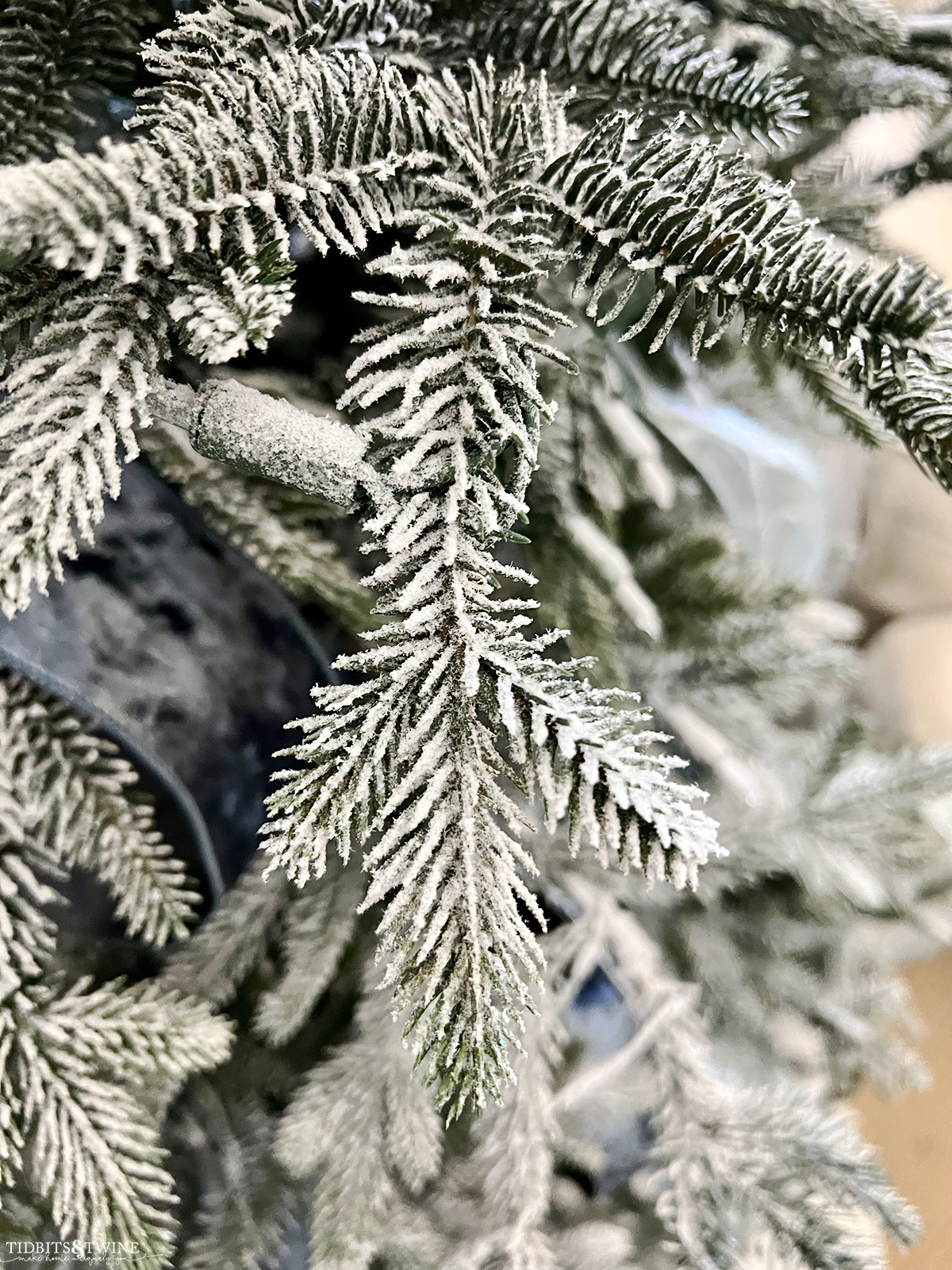 closeup of christmas tree branches after being flocked