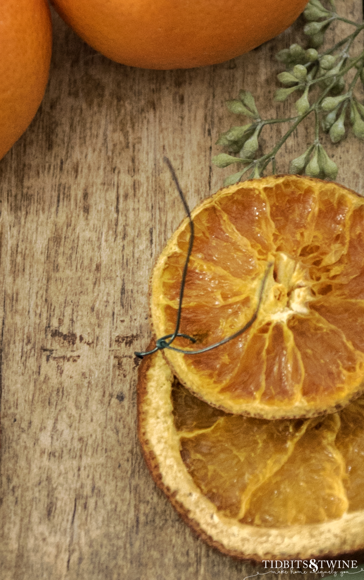 closeup of two dried orange slices wired together