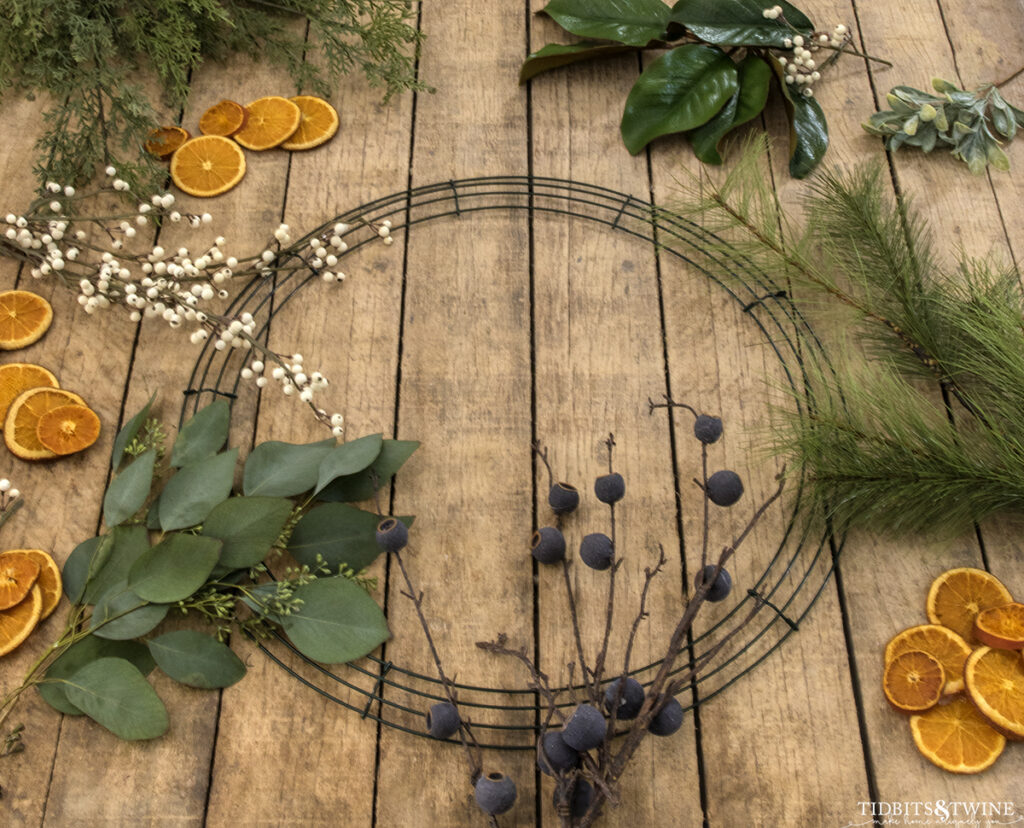 wire frame wreath and sprigs of berries and pine surrounding it showing materials to make a dried orange wreath