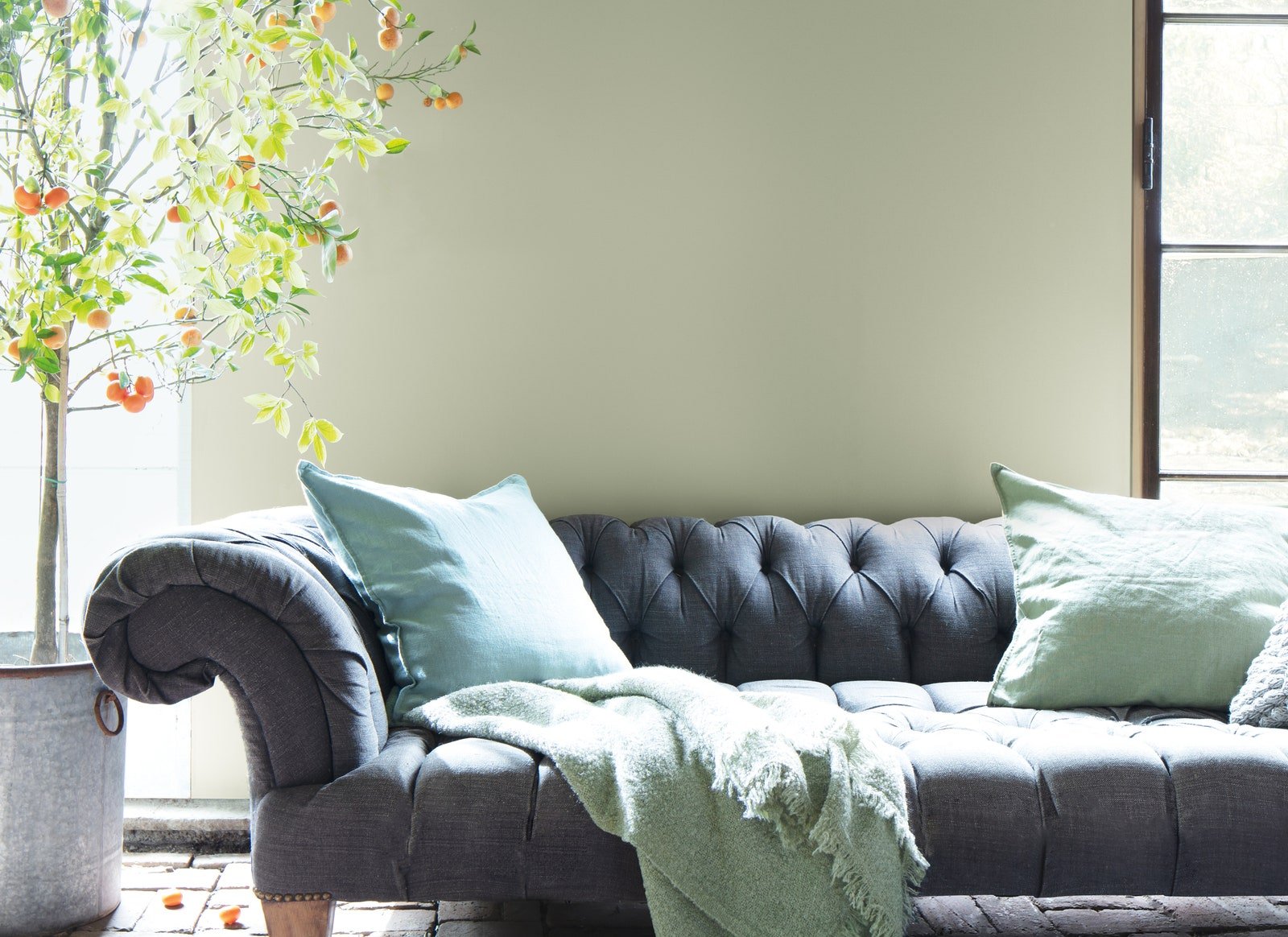 benjamin moore october mist color of the year painted on a wall with gray tufted sofa in front with sage pillows on it