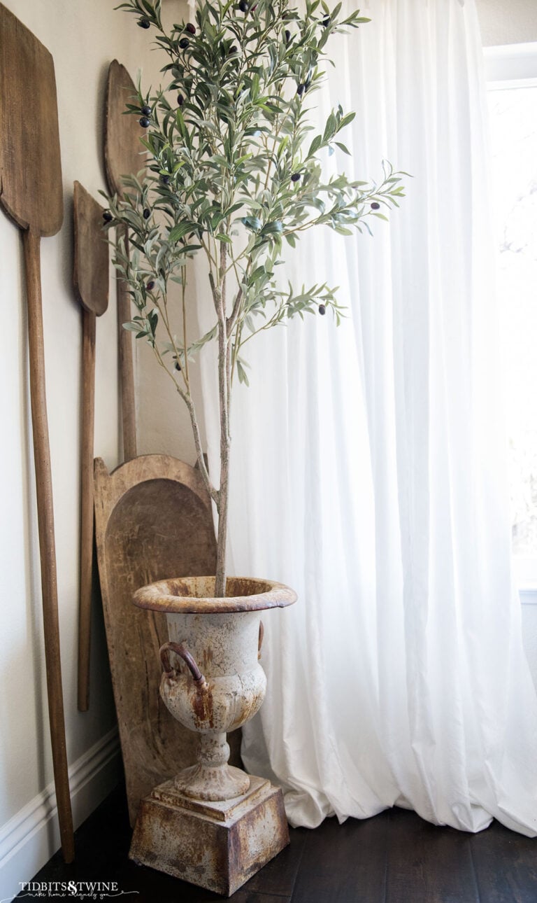 large dough bowl standing in a corner with an olive tree in an urn in front and three antique bread paddles hanging on the wall