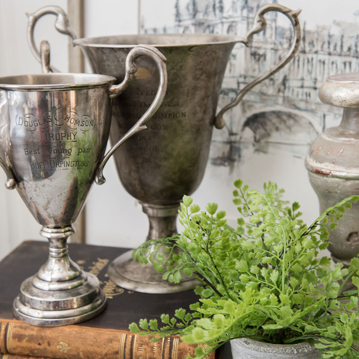 vignette of two vintage silver trophy cups on an old leather book with small green potted fern in front and candlestick in back