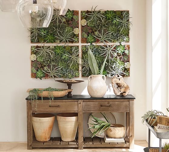 console table with succulent wall behind and pots and containers on table with air plants and succulents